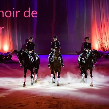 Le Petit Coin Cache * Montreuil-Bellay