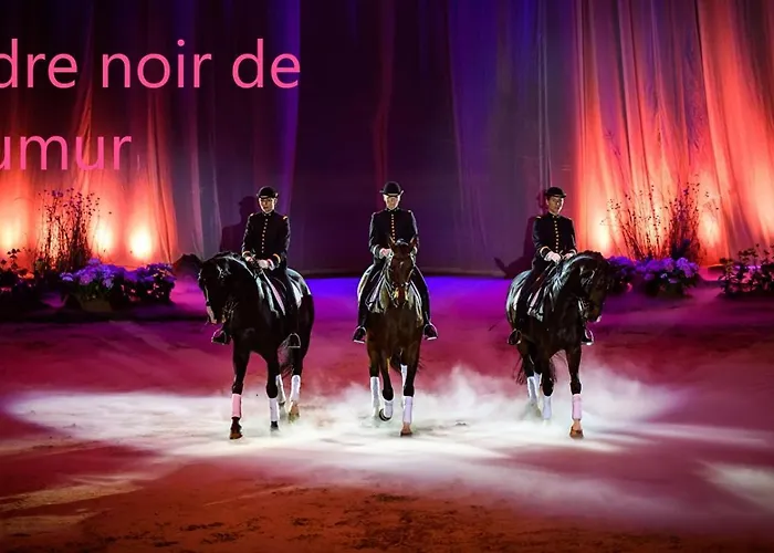 Le Petit Coin Cache * Montreuil-Bellay